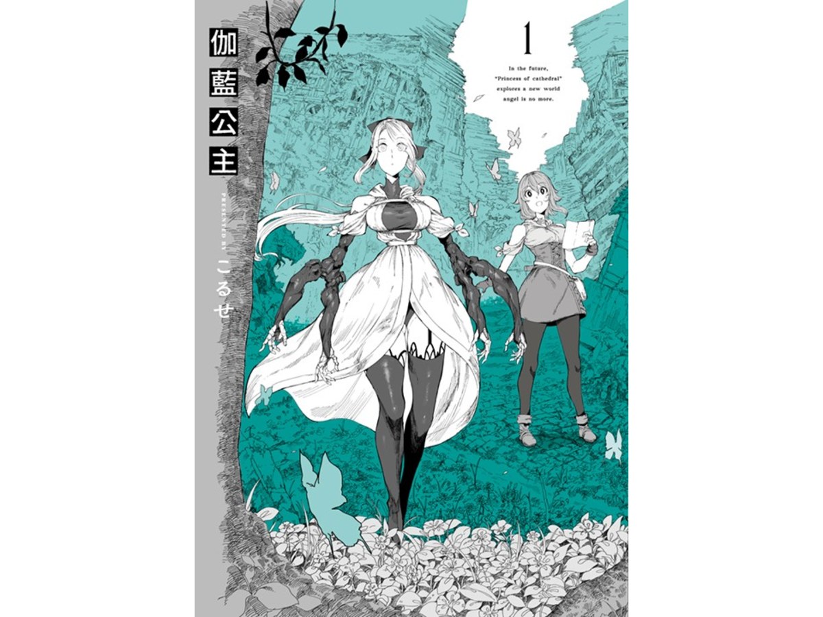 伽藍公主（１）