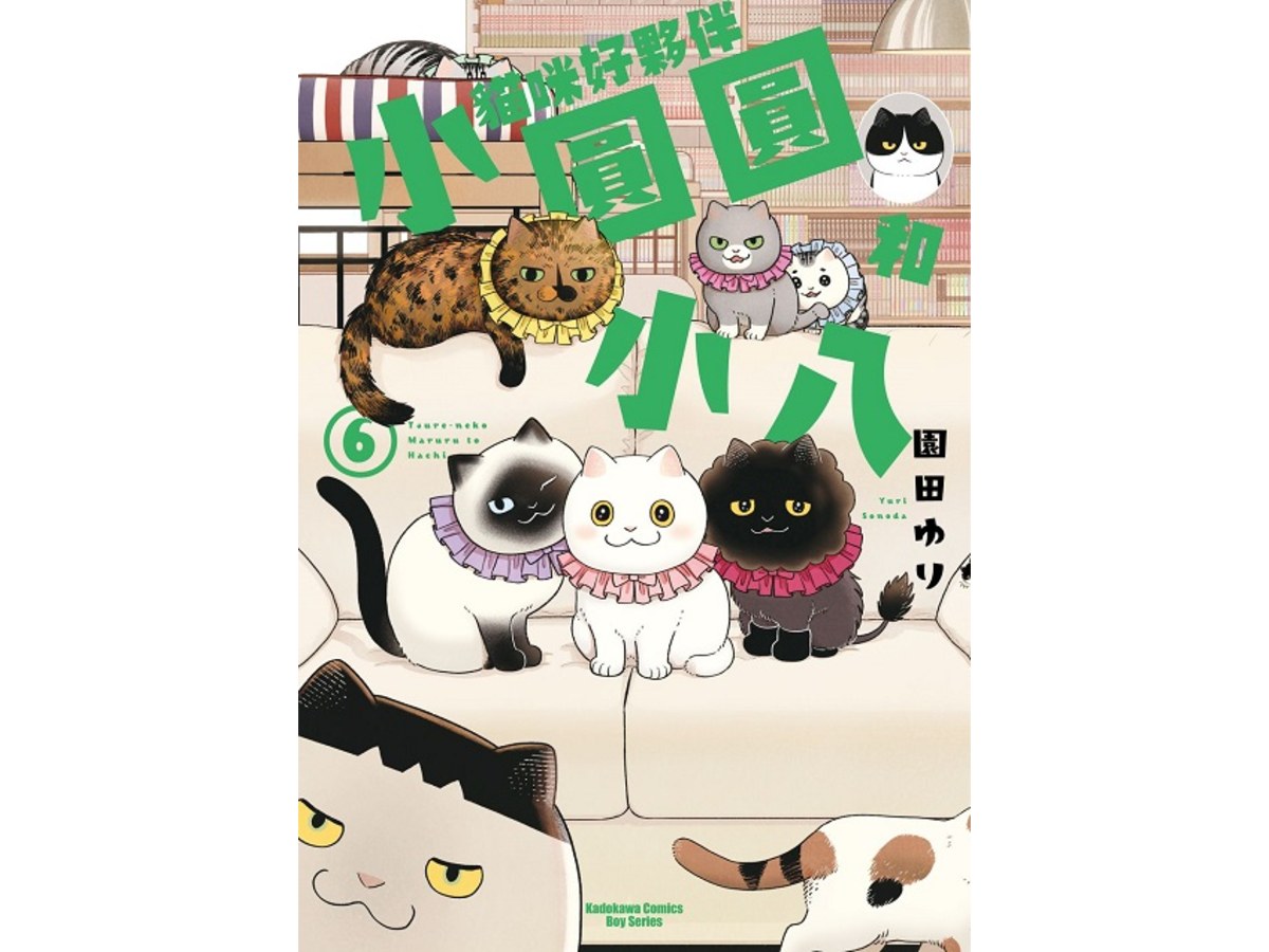 貓咪好夥伴小圓圓和小八（６）