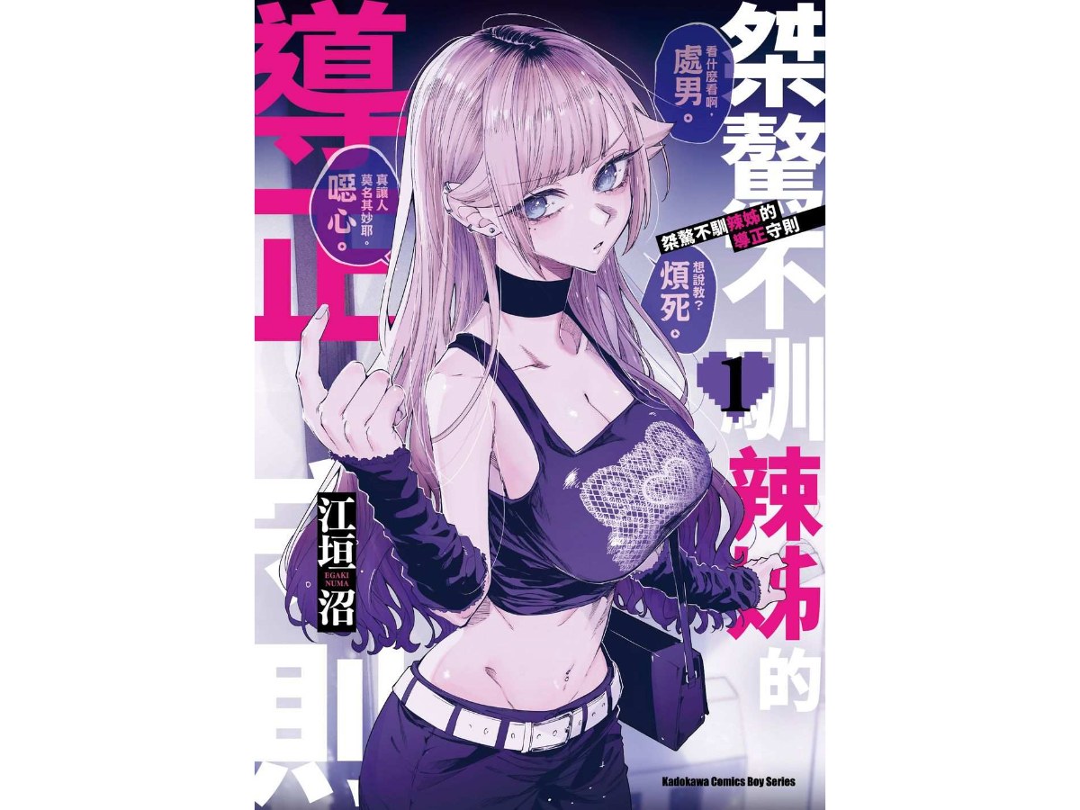桀驁不馴辣姊的導正守則（１）
