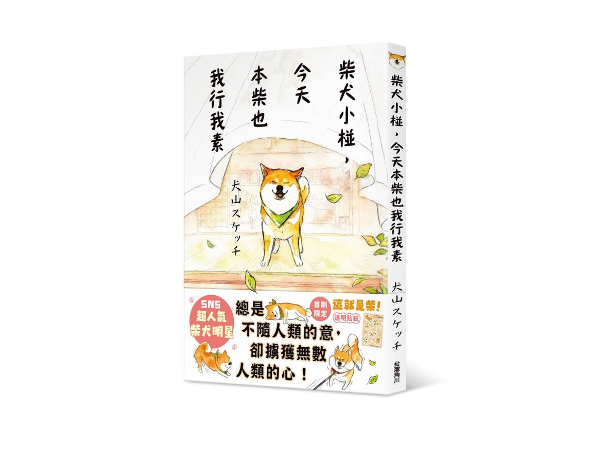 柴犬小椪，今天本柴也我行我素