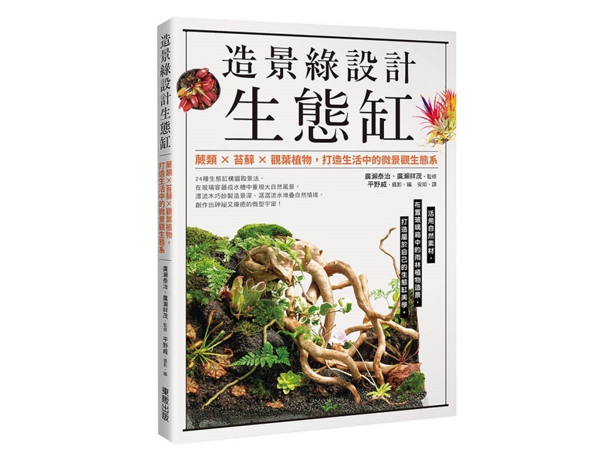 造景綠設計生態缸：蕨類×苔蘚×觀葉植物，打造生活中的微景觀生態系