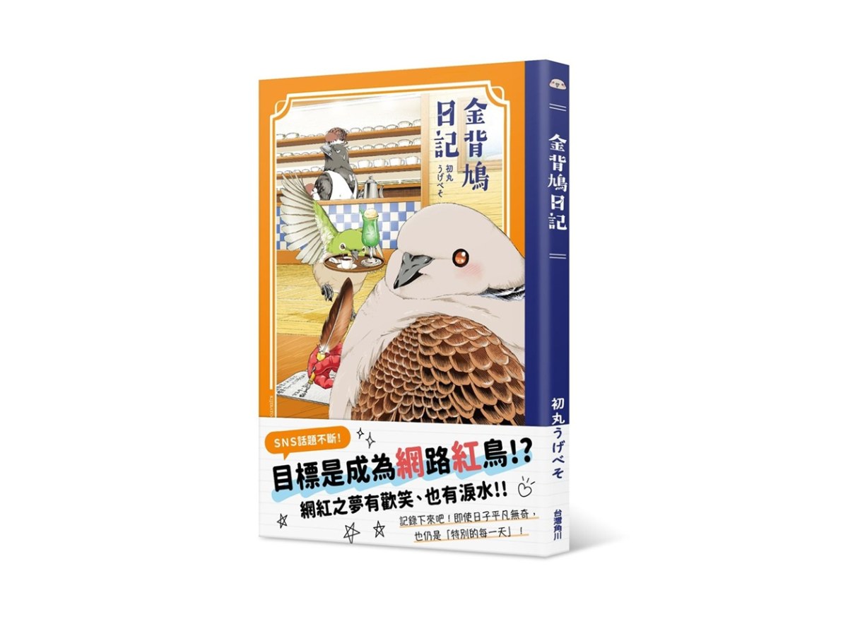金背鳩日記