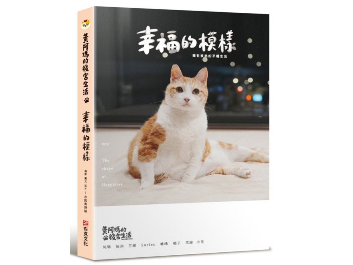 黃阿瑪的後宮生活9：幸福的模樣