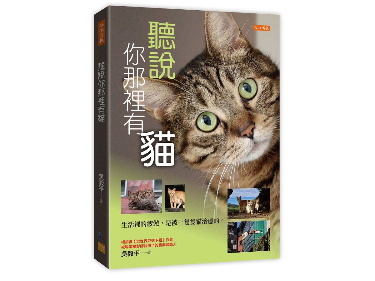 聽說你那裡有貓：生活裡的疲憊，是被一隻隻貓治癒的。
