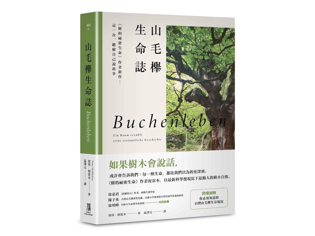 山毛櫸生命誌：《樹的祕密生命》作者新作：這一次，聽樹自己說故事
