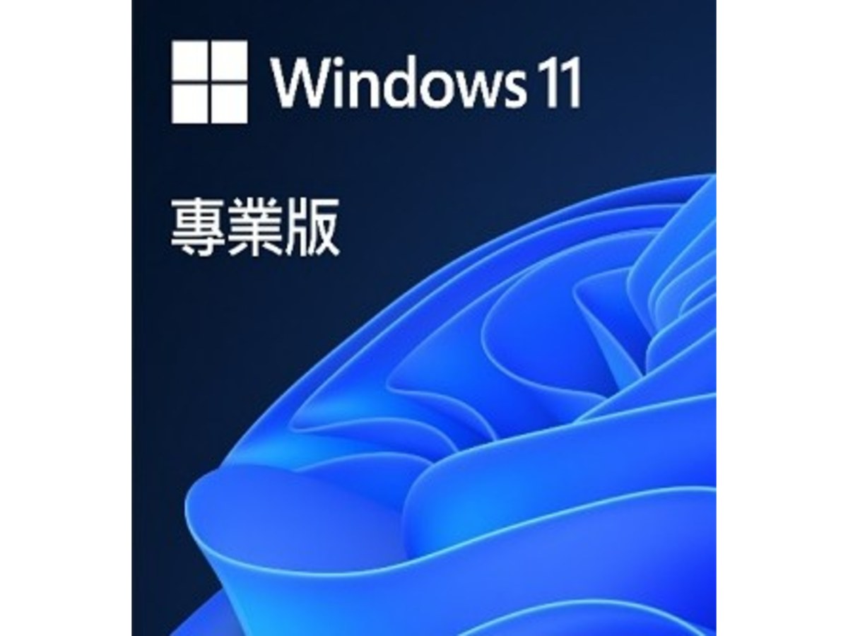 ESD-Win Pro 11 專業下載版