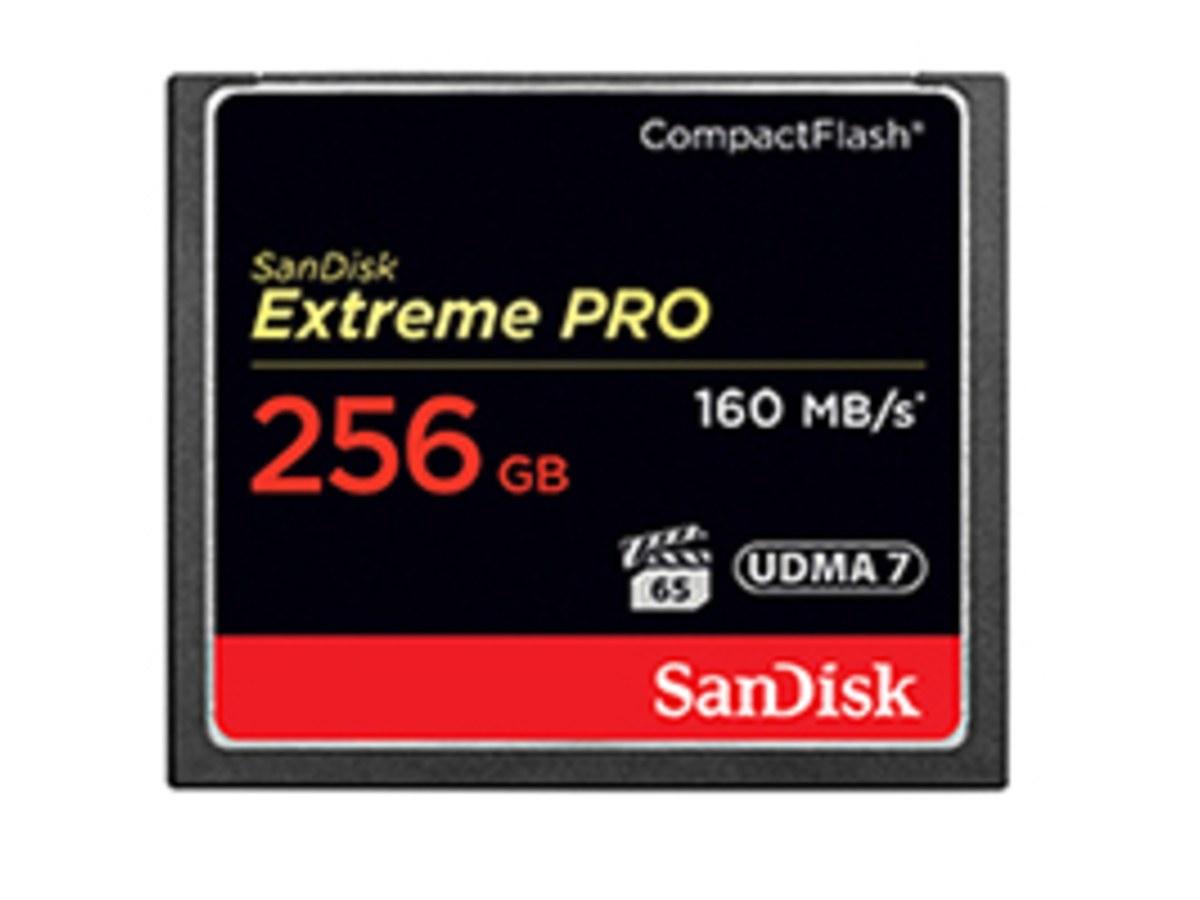 SANDISK Extreme Pro CF 256G/讀寫160M/150MBs