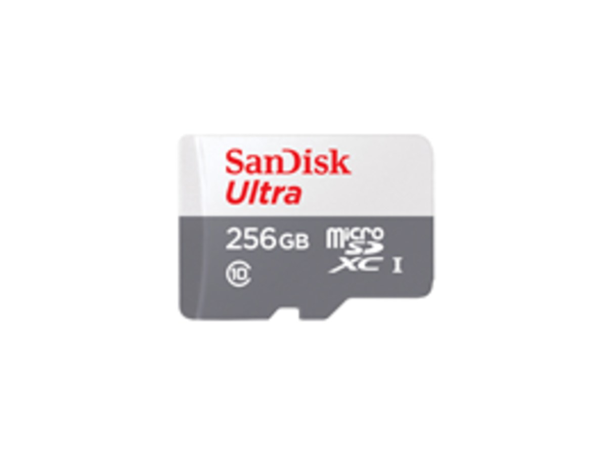 SANDISK Ultra Micro SDXC 256GB/UHS-1 Class10/100MB/s/無轉接卡 3x5
