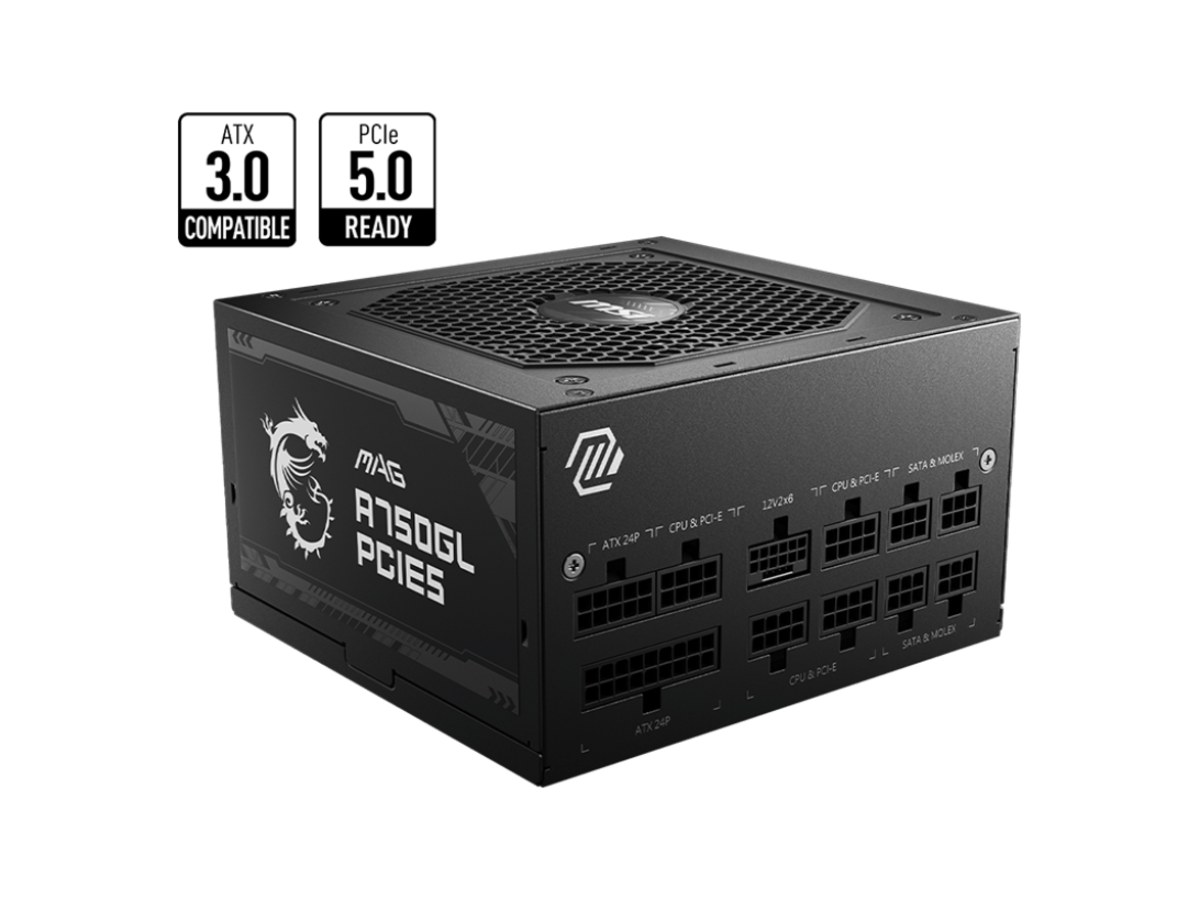 微星 MAG A750GL PCIE5 電源供應器