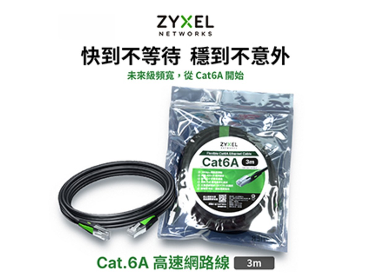 ZyXEL Cat.6A 網路線(3m)ZZ0111F
