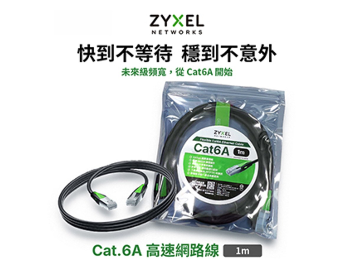 ZyXEL Cat.6A 網路線(1m) ZZ0110F