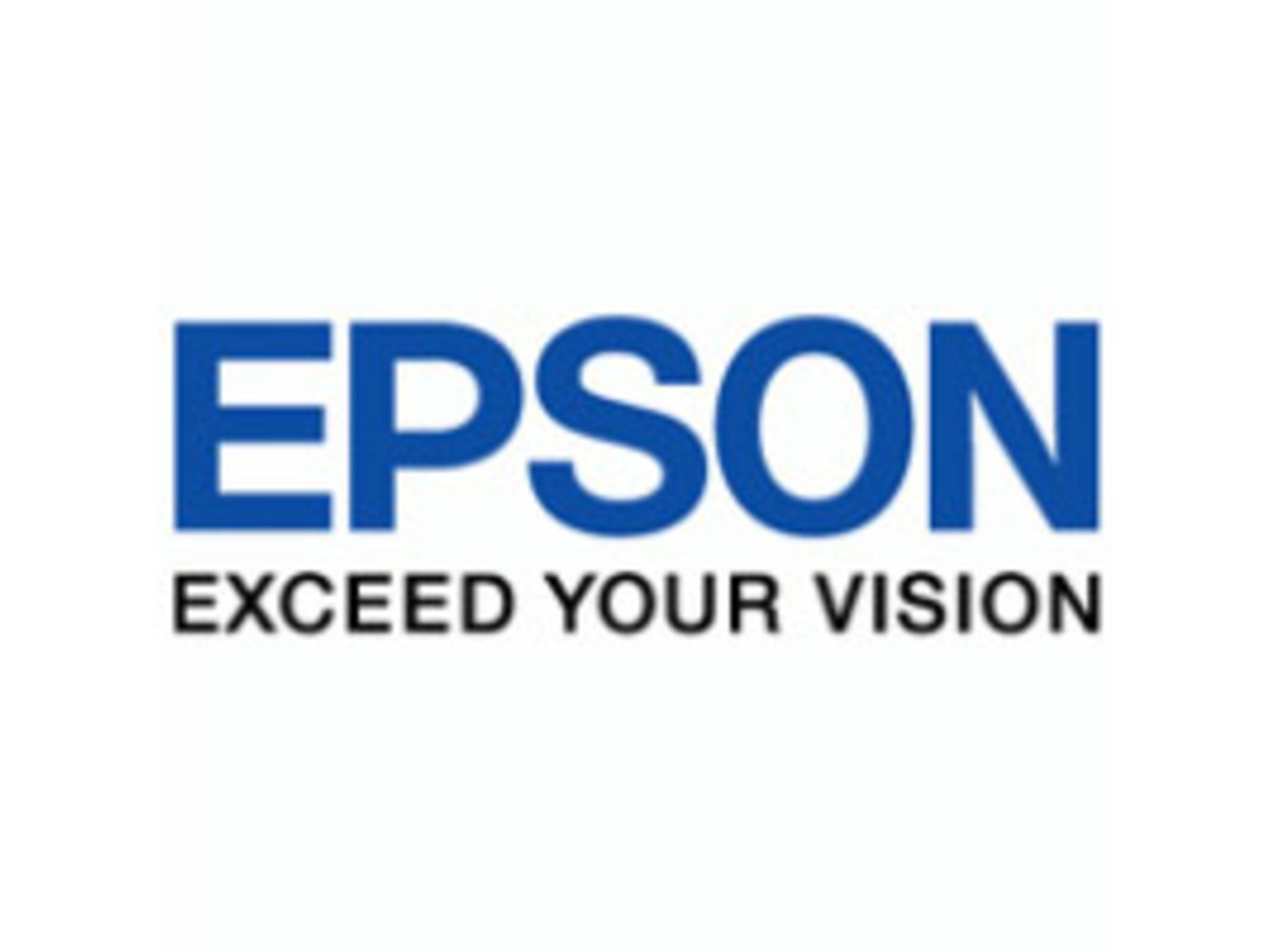 EPSON C13T49GE00 灰色墨水匣 (110ml)