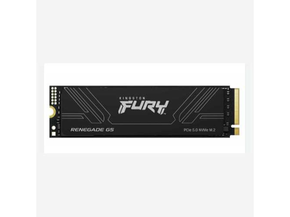 KINGSTON FURY Renegade G5 2TB PCIe 5.0 M.2 固態硬碟 SFYR2S/2T0