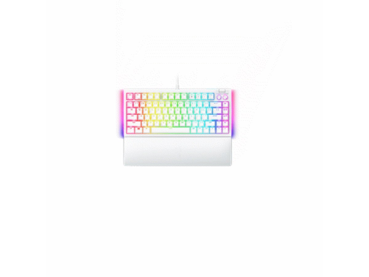Razer BlackWidow V4 75% 黑寡婦蜘蛛 白色英文RGB機械式電競鍵盤 RZ03-05001700-R3M1