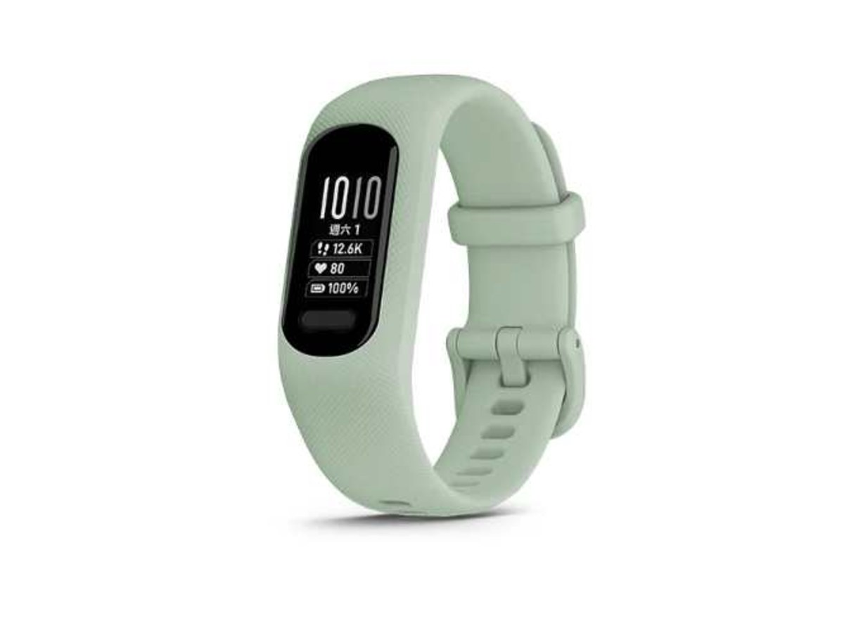 GARMIN vívosmart 5 薄荷綠 S/M 健康智慧手環 010-02645-22